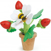 Drevený kvetináč s jahodami Tender Leaf Strawberry Flower Pot uni Drevený kvetináč s jahodami Tender Leaf Strawberry Flower Pot uni