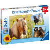 Ravensburger Kone 3x49 Ravensburger Kone 3x49