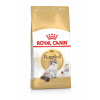 Royal Canin Ragdoll Adult 400g suché krmivo pre dospelé mačky plemena Ragdoll Royal Canin Ragdoll Adult 400g suché krmivo pre dospelé mačky plemena Ragdoll
