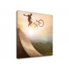 Obraz na stenu CYKLISTIKA_047-12 (moderné obrazy na plátne) Obraz na stenu CYKLISTIKA_047-12 (moderné obrazy na plátne)