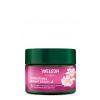 Weleda Rozjasňující noční krém Divoká růže a bílý čaj 40ml Weleda Rozjasňující noční krém Divoká růže a bílý čaj 40ml