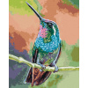 Diamondi Diamantové maľovanie KOLIBRÍK NA KONÁRI vypnuté plátno na rám Diamondi Diamantové maľovanie KOLIBRÍK NA KONÁRI vypnuté plátno na rám