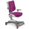 MAYER Dětská rostoucí stolička MyChamp 2431 30 208 MAYER Dětská rostoucí stolička MyChamp 2431 30 208