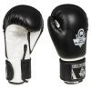 Boxerské rukavice DBX BUSHIDO ARB-407a Velikost: 12oz. Boxerské rukavice DBX BUSHIDO ARB-407a Velikost: 12oz.