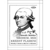 Sbohem, můj krásný plameni - Mahler Zdeněk Sbohem, můj krásný plameni - Mahler Zdeněk