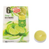 Admit Tea Lights Lime 6 ks Admit Tea Lights Lime 6 ks