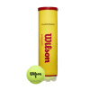 Tenisové míče WILSON CHAMPIONSHIP EXTRA DUTY (4ks) WRT110000 Tenisové míče WILSON CHAMPIONSHIP EXTRA DUTY (4ks) WRT110000