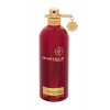 Montale Paris Silver Aoud, Parfumovaná voda 100ml, Tester pre mužov Montale Paris Silver Aoud, Parfumovaná voda 100ml, Tester pre mužov