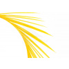 Troutline Selected Goose Biots 4ks Farba: Golden yellow Troutline Selected Goose Biots 4ks Farba: Golden yellow
