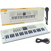 Klávesové klavír 54 kľúča s mikrofónom 200 Rite (Klávesové klavír 54 kľúča s mikrofónom 200 Rite) Klávesové klavír 54 kľúča s mikrofónom 200 Rite (Klávesové klavír 54 kľúča s mikrofónom 200 Rite)