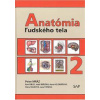Anatómia ľudského tela 2 - Peter Mráz Anatómia ľudského tela 2 - Peter Mráz