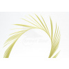 Troutline Selected Goose Biots 4ks Farba: Light Olive Troutline Selected Goose Biots 4ks Farba: Light Olive