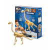 Buki France Dinodig vykopávka a kostra Brachiosaurus Buki France Dinodig vykopávka a kostra Brachiosaurus