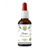 Salvia Paradise Bacopa monnieri Brahmi AF tinktura 50 ml Salvia Paradise Bacopa monnieri Brahmi AF tinktura 50 ml