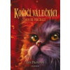 Kočičí válečníci (4) - Bouře přichází Kočičí válečníci (4) - Bouře přichází