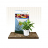 Symbiom Algavit 100g morské riasy Symbiom Algavit 100g morské riasy