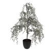 Clayre & Eef Vianočné dekorácie cédrový stromček v kvetináči Cedar L - 40*40*85 cm - Clayre & Eef Clayre & Eef Vianočné dekorácie cédrový stromček v kvetináči Cedar L - 40*40*85 cm - Clayre & Eef