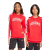 Detská mikina adidas JM7357 červená 128 Detská mikina adidas JM7357 červená 128