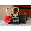 Pánský parfém s feromony - ZISSY - Šarm a charisma 50 ml Pánský parfém s feromony - ZISSY - Šarm a charisma 50 ml