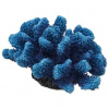 Dekorácia AQUA EXCELLENT Morský koral modrý 14,5 x 10,5 x 7,4 cm 1 ks