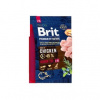 Brit Premium by Nature Senior L + XL 3 kg Brit Premium by Nature Senior L + XL 3 kg