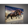 Obraz na plátne obdĺžnik - OB1084 - Kone 60cm x 40cm - O4 Obraz na plátne obdĺžnik - OB1084 - Kone 60cm x 40cm - O4