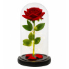 Večná Ruža v Skle LED Svietiaca - Darček ku Dňu Matiek v Krabičke XL Večná Ruža v Skle LED Svietiaca - Darček ku Dňu Matiek v Krabičke XL