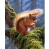 Diamantové malování Norimpex 40x30 cm Veverka na větvi v lese Diamantové malování Norimpex 40x30 cm Veverka na větvi v lese