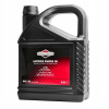 Briggs Stratton 4T SAE30 MOWEL Oil 5L (Briggs Stratton 4T SAE30 MOWEL Oil 5L) Briggs Stratton 4T SAE30 MOWEL Oil 5L (Briggs Stratton 4T SAE30 MOWEL Oil 5L)