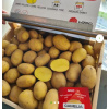 Sadbové zemiaky ´Camelia´ 25kg Sadbové zemiaky ´Camelia´ 25kg