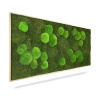 Machový obraz Light Green, 80x40cm, drevený svetlohnedý rám Machový obraz Light Green, 80x40cm, drevený svetlohnedý rám