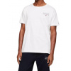 Pánské tričko Tommy Hilfiger UM0UM02916 biela Pánské tričko Tommy Hilfiger UM0UM02916 biela