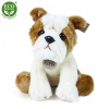 Rappa Plyšový pes buldog 26 cm ECO-FRIENDLY Rappa Plyšový pes buldog 26 cm ECO-FRIENDLY