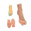 Healmed 434-1 chránič a korektor na hallux silikónový telový 2ks Healmed 434-1 chránič a korektor na hallux silikónový telový 2ks