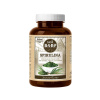 Canvit BARF Spirulina 180g Canvit BARF Spirulina 180g