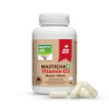 Masticha + Vitamin D3 Masticlife 160 kapsúl Masticha + Vitamin D3 Masticlife 160 kapsúl