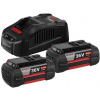 BOSCH - zahrada/dílna Bosch 2x GBA 36V 6,0Ah + GAL 3680 CV (1.600.A00.L1U) BOSCH - zahrada/dílna Bosch 2x GBA 36V 6,0Ah + GAL 3680 CV (1.600.A00.L1U)