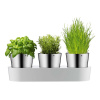 Súprava 3 antikoro kvetináčov na bylinky WMF Gourmet Súprava 3 antikoro kvetináčov na bylinky WMF Gourmet