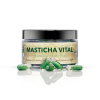 Masticha Vital - Double Action Masticlife 60 kapsúl Masticha Vital - Double Action Masticlife 60 kapsúl