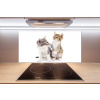 Dekoračné sklo do kuchyne Dve malé mačky 100x50 cm Dekoračné sklo do kuchyne Dve malé mačky 100x50 cm