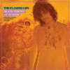 Vinyl The Flaming Lips - DEATH TRIPPIN AT SUNRISE: RARITIES, B-SIDES & FLEXI-DISCS 1986-1990 Vinyl The Flaming Lips - DEATH TRIPPIN AT SUNRISE: RARITIES, B-SIDES & FLEXI-DISCS 1986-1990