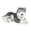 Rappa Velký plyšový pes husky ležící 60 cm ECO-FRIENDLY Rappa Velký plyšový pes husky ležící 60 cm ECO-FRIENDLY