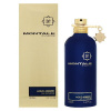 Montale Aoud Ambre Parfémovaná voda 100ml - poškodený obal, unisex Montale Aoud Ambre Parfémovaná voda 100ml - poškodený obal, unisex