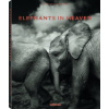 Elephants in Heaven - Joachim Schmeisser Elephants in Heaven - Joachim Schmeisser