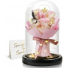 Dingheng Romantická večná kytica v skle s LED osvetlením – ružová, pre nežné a láskavé chvíle Dingheng Romantická večná kytica v skle s LED osvetlením – ružová, pre nežné a láskavé chvíle
