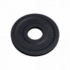 Gorilla Sports Záťažový kotúč 50/51 mm liatina 1,25 kg Gorilla Sports Záťažový kotúč 50/51 mm liatina 1,25 kg