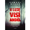 V lese visí anděl V lese visí anděl