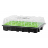 Strend Pro Garden 255284 Minipařeniště Strend Pro Herrison P2001, 24 sazenic, 38x24,5x12,5 cm Strend Pro Garden 255284 Minipařeniště Strend Pro Herrison P2001, 24 sazenic, 38x24,5x12,5 cm