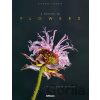 Tribute to Flowers - Richard Fischer Tribute to Flowers - Richard Fischer