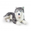 Rappa Plyšový pes husky ležiaci 60 cm ECO-FRIENDLY Rappa Plyšový pes husky ležiaci 60 cm ECO-FRIENDLY